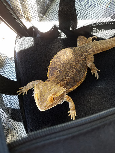 History Museum «Savannah History Museum», reviews and photos, 303 Martin Luther King Jr Blvd, Savannah, GA 31401, USA