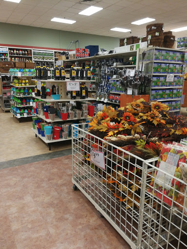 Home Goods Store «Christmas Tree Shops», reviews and photos, 420 Harry L Dr, Johnson City, NY 13790, USA