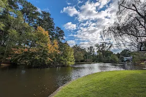 Duck Pond Park image