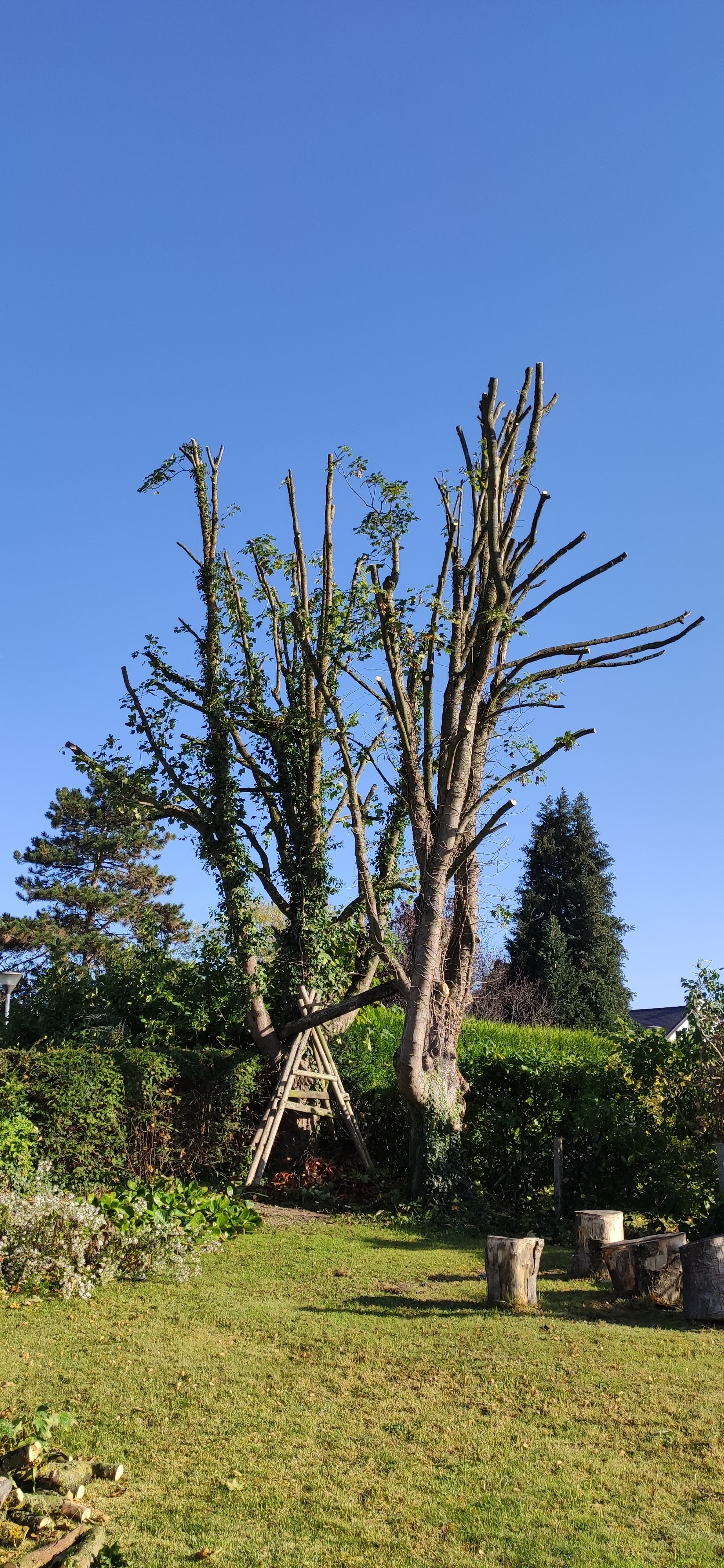 Photo n° 3 de l'avis de Vincent.o fait le 19/10/2021 à 17:03