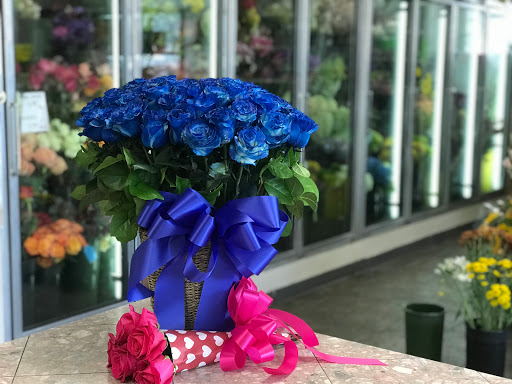 Florist «Blooming City Flowers», reviews and photos, 3000 W Peterson Ave, Chicago, IL 60659, USA