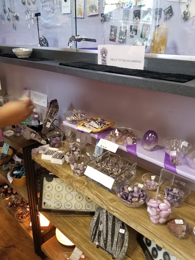 Mineral shops in Charlotte