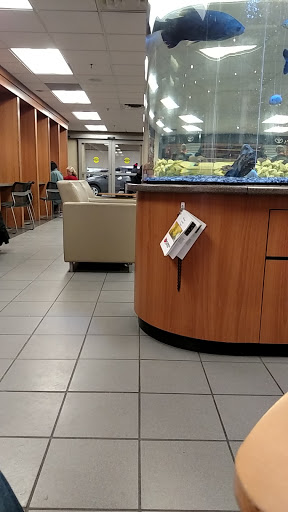 Toyota Dealer «Maplewood Toyota», reviews and photos, 2873 Maplewood Dr, Maplewood, MN 55109, USA