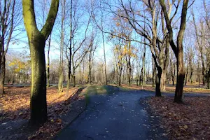 Park Młodzieży w Rudzie Śląskiej image