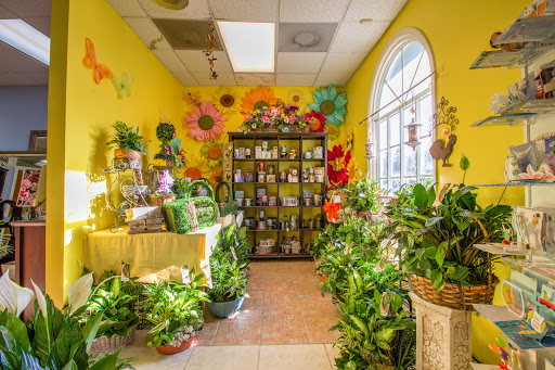 Florist «Oviedo Florist», reviews and photos, 1419 W Broadway St, Oviedo, FL 32765, USA