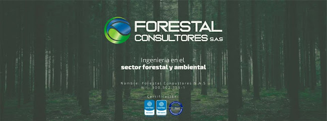 FORESTAL CONSULTORES S.A.S