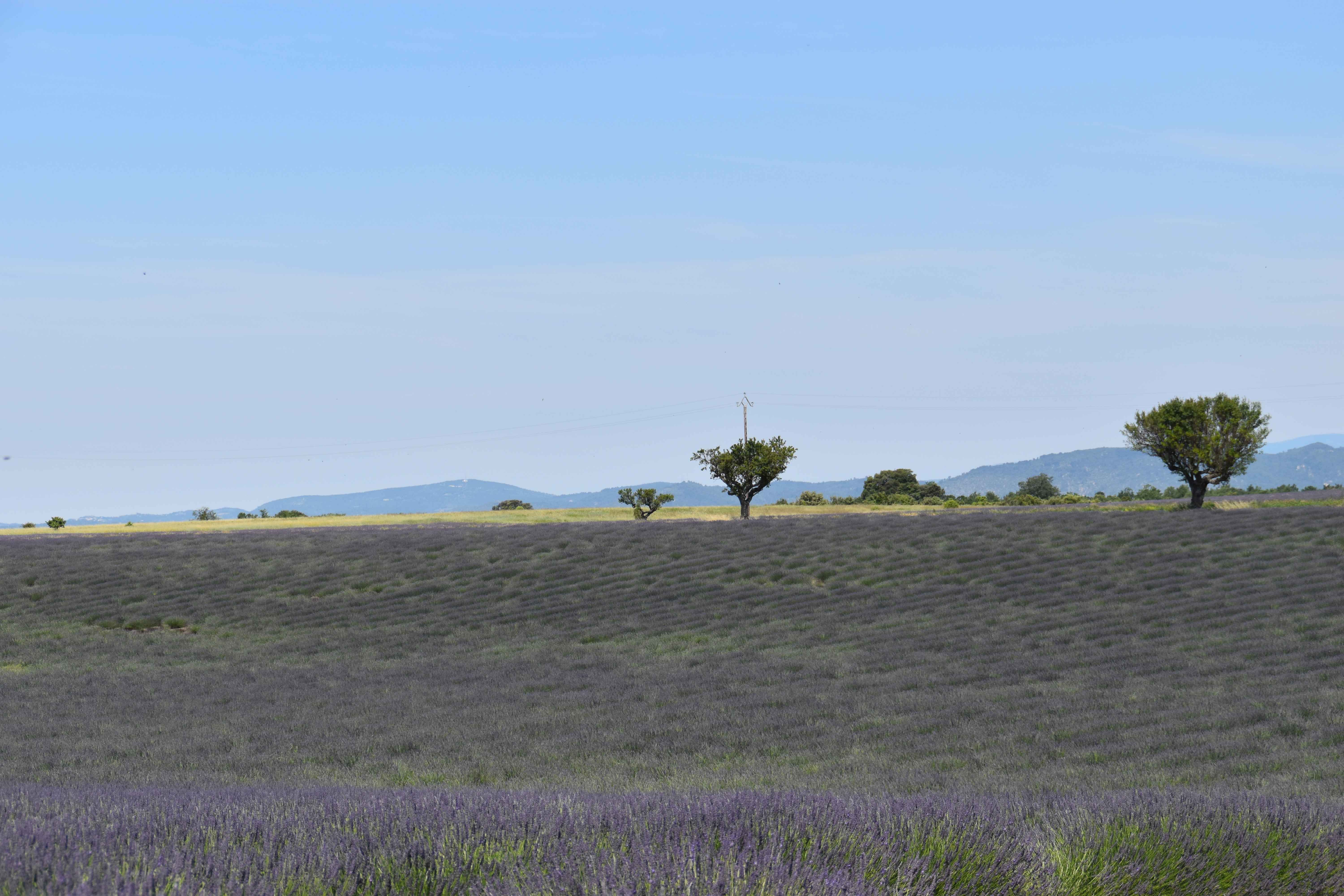 Photo n° 3 de l'avis de Liz.e fait le 27/06/2018 à 12:15