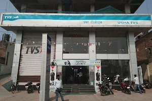 TVS - Usha Motors image