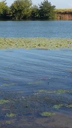 Photo n°4 de Glanon à Glanon ()