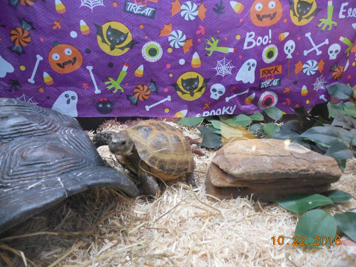 Zoo «Phillips Park Zoo», reviews and photos, 1000 Ray Moses Dr, Aurora, IL 60505, USA