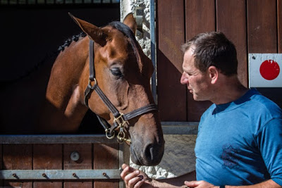 Haras d'Atalante à Gouffern en Auge
