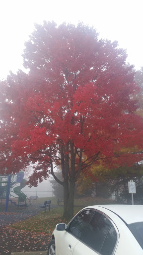 Park «Griffin Park», reviews and photos, Griffin Park E, Canton, MI 48187, USA