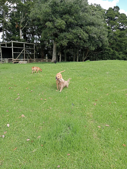 Woofles