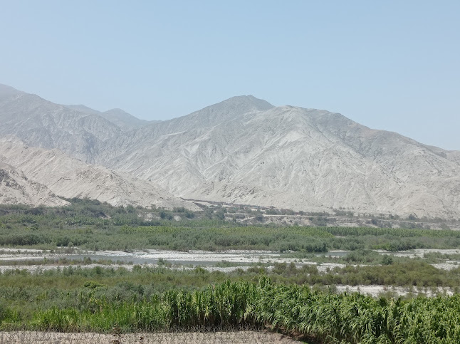 Entre Flores Orchids