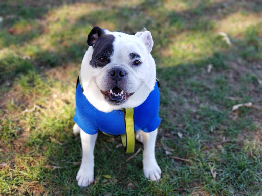 Dog Park «Bunker Hills Dog Park», reviews and photos, 1620 133rd Ave NW, Coon Rapids, MN 55448, USA