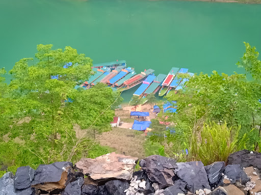 Af1qippf7fi5xlh1292v49sdhcna0pvpg60fq1h5wafn