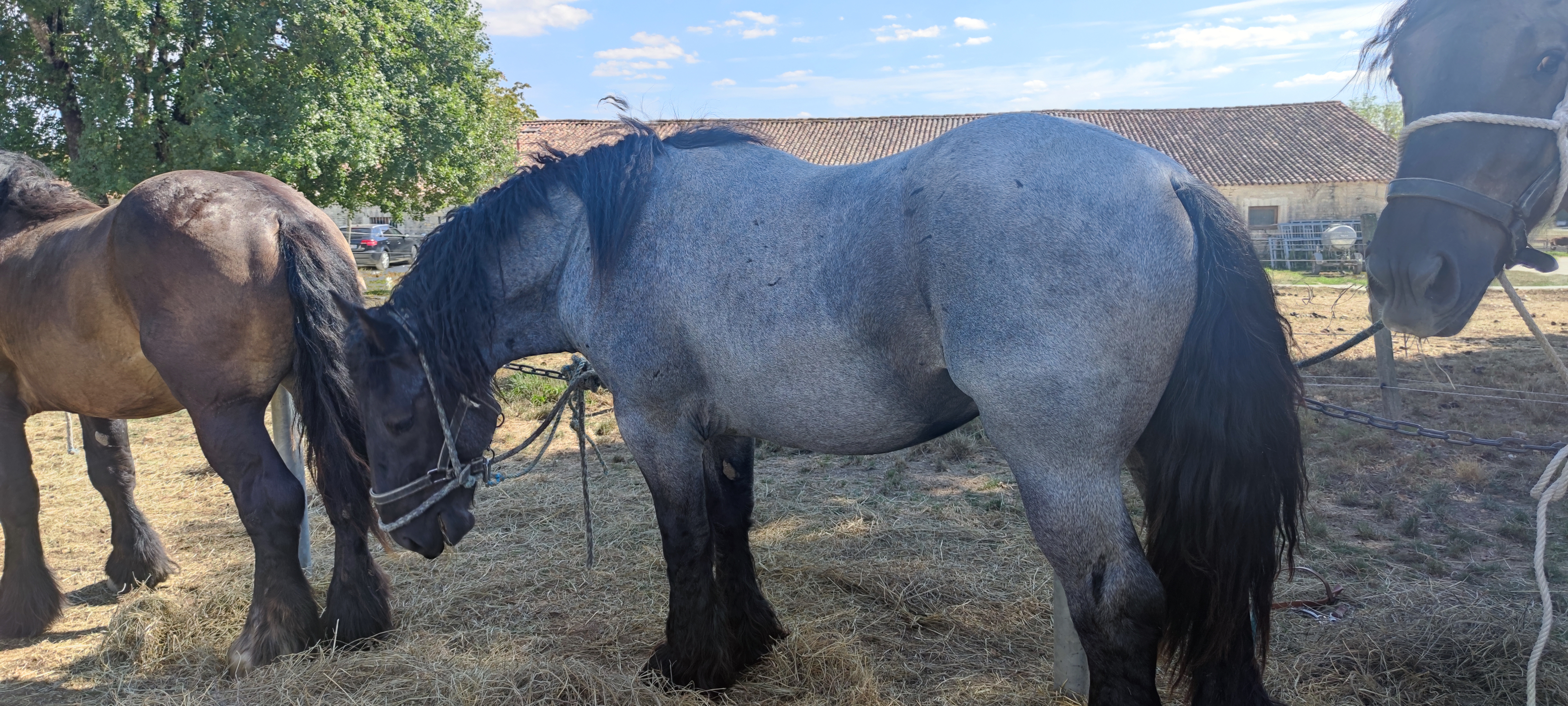 Photo n° 2 de l'avis de LeafHelm. fait le 27/08/2022 à 17:17