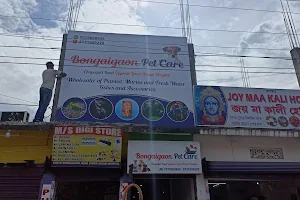 Bongaigaon pet care image