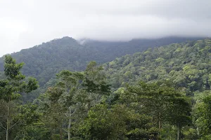 Reserva Natural Bosawás image