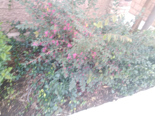 Florist «Secret Garden Florist», reviews and photos, 6076 Lincoln Ave, Cypress, CA 90630, USA