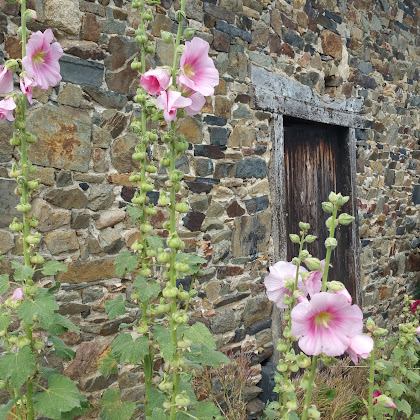Photos des visiteurs Chambre d'hôtes Tréhen Jean-François 22590 Pordic