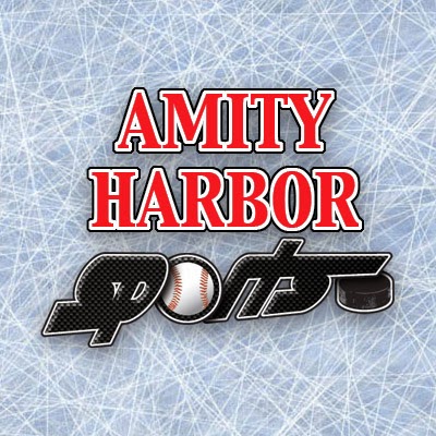 Sporting Goods Store «Amity Harbor Sports», reviews and photos, 149 Merrick Rd, Amityville, NY 11701, USA