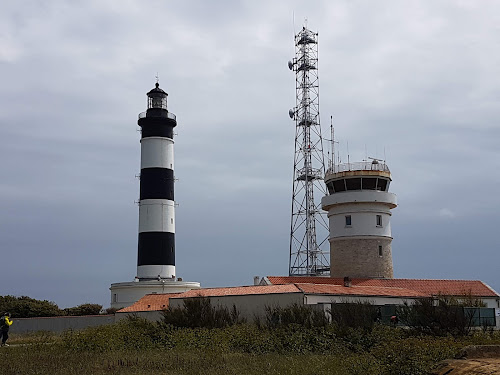 Les Dauphins à Saint-Denis-d'Oléron