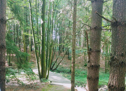 Nature Preserve «Wolf Creek Environmental Center», reviews and photos, 6100 Ridge Rd, Wadsworth, OH 44281, USA