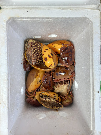 Top 20 cửa hàng akemi Huyện Lý Sơn Quảng Ngãi 2022