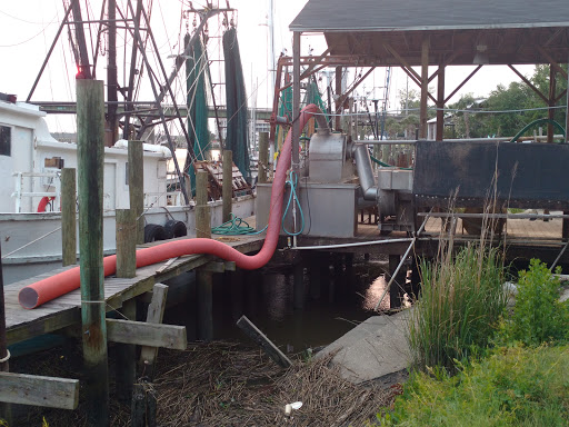 Canoe & Kayak Tour Agency «Altamaha Coastal Tours», reviews and photos, 229 Fort King George Dr, Darien, GA 31305, USA