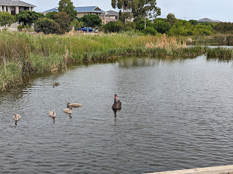 Saltwater Coast Wetlands