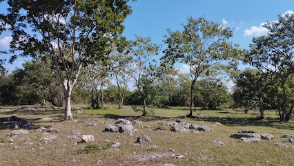 Reserva Arqueológica Villa Magna Sur
