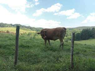 Photo n°34 de Lou Pradal à Le Soulié ()