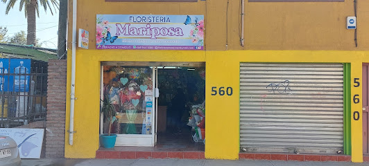 Floristería Mariposa
