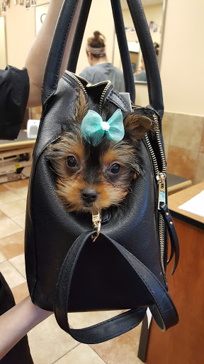 Pet Supply Store «PetSmart», reviews and photos, 160 Washington St #701, Rochester, NH 03839, USA