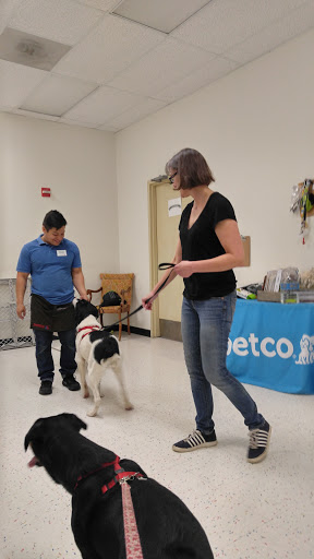 Pet Supply Store «Petco Animal Supplies», reviews and photos, 31090 Dyer St, Union City, CA 94587, USA