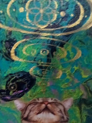 Video Game Store «Insomnia Gallery», reviews and photos, 724 W 19th St, Houston, TX 77008, USA