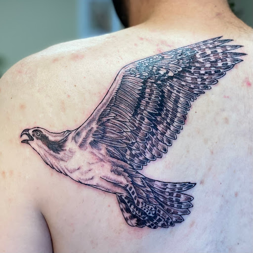 Explore spine tattoo ideas for men, creative tattoo ideas in Fort Collins, available at Meadowlark Tattoo