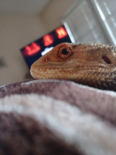 Pet Supply Store «Petco Animal Supplies», reviews and photos, 1619 SE Ensign Ln, Warrenton, OR 97146, USA