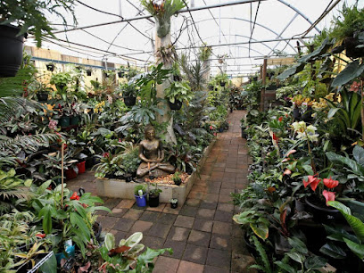 Mayflower Orchids & Garden Centre