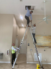 Pest Free Homes - Photo 8 - Car repair in , Hialeah