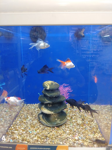 Pet Supply Store «PetSmart», reviews and photos, 3260 Stockton Hill Rd, Kingman, AZ 86409, USA