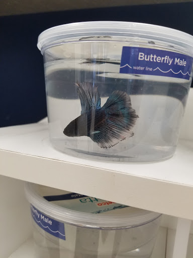 Pet Supply Store «Petco Animal Supplies», reviews and photos, 13127 N Dale Mabry Hwy, Tampa, FL 33618, USA