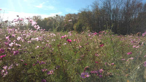 Community Center «Prairie Township Community Center», reviews and photos, 5955 W Broad St, Galloway, OH 43119, USA