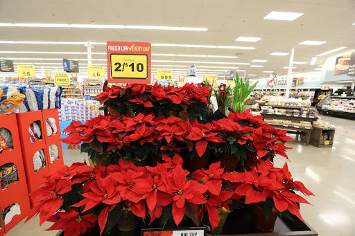 Grocery Store «Food Lion», reviews and photos, 9537 Bridgeville Center Rd, Bridgeville, DE 19933, USA