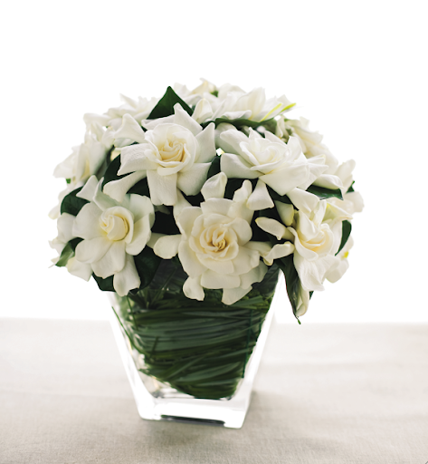 Florist «Flores Mantilla», reviews and photos, 164 Washington St, Marblehead, MA 01945, USA