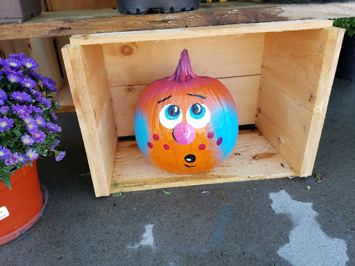 Grocery Store «Hannaford Supermarket», reviews and photos, 43 Round Lake Rd, Ballston Lake, NY 12019, USA