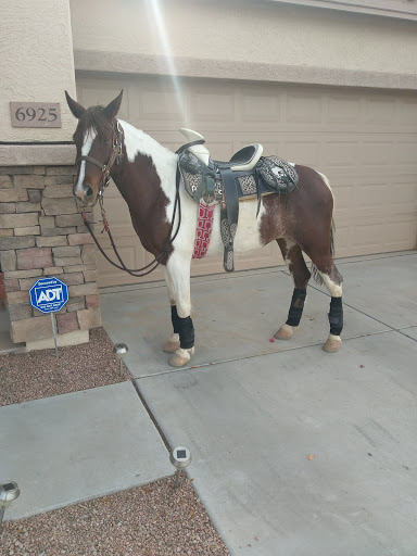 Park «Trailside Point Park», reviews and photos, 7215 W Vineyard Rd, Laveen Village, AZ 85339, USA