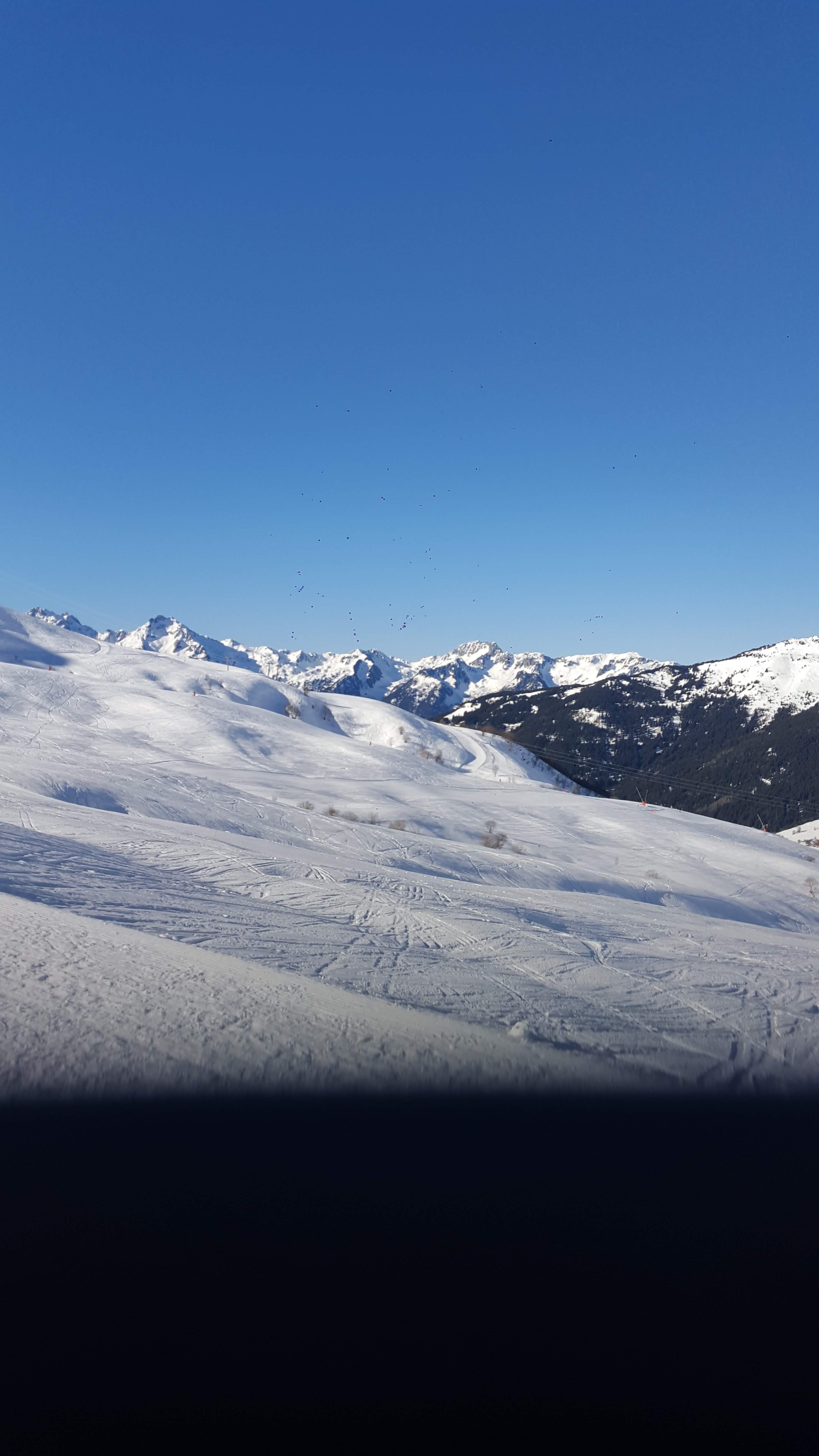 Photo n° 3 de l'avis de Philippe.i fait le 09/02/2022 à 15:45
