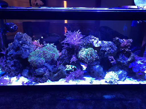 Tropical Fish Store «Scranton Aquarium», reviews and photos, 1819 Sanderson Ave, Scranton, PA 18509, USA